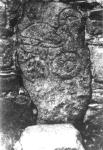Picture, Goose Stone, Tillytarmont 1 Pictish Standing Stone - Scotland