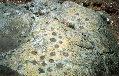 Picture Avochie Neolithic Recumbent Stone - Scotland