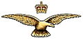 wings.gif (3353 bytes)
