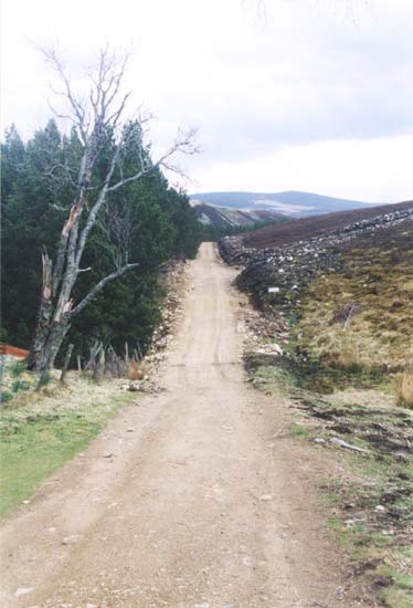 the road at delachuper