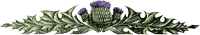 thistle.gif (2247 bytes)