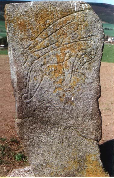 Picture Craw Stane Pictish Symbol Stone - Scotland