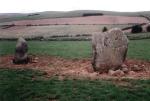 Picture Remnants of Upper Ord megalithic stone circle - Scotland